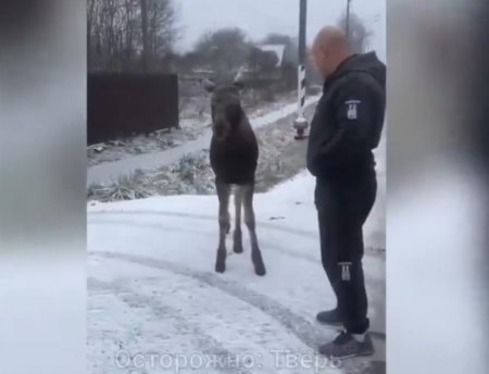 �������� ������� ������